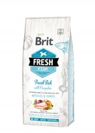 BRIT FRESH PRE DOSPELÝCH VEĽKÉ RYBY A TEKVICE KRMIVO PRE PSA 2,5 kg BRIT FRESH PRE DOSPELÝCH VEĽKÉ RYBY A TEKVICE KRMIVO PRE PSA 2,5 kg