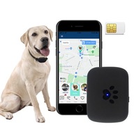 GPS sledovač psov CALMEAN Maxi + obojok L/XL