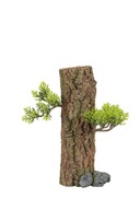 ZOLUX Akvarijná dekorácia FOREST S ZOLUX Akvarijná dekorácia FOREST S