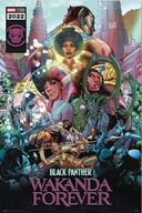 Plagát Marvel Black Panther Wakanda 61x91,5 cm Plagát Marvel Black Panther Wakanda 61x91,5 cm