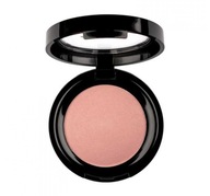 PIERRE RENE ROUGE POWDER 09 PROFESIONÁL PIERRE RENE ROUGE POWDER 09 PROFESIONÁL
