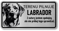 Značka Pozor pes 20x10 Labrador