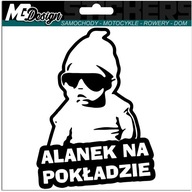 Nálepka ALANEK V AUTE do auta 18x13 farieb Nálepka ALANEK V AUTE do auta 18x13 farieb