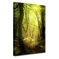 Obrazy 20x30 Čarovná lesná krajina