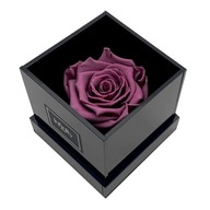 Flowerbox, pravá večná ruža krásne vonia