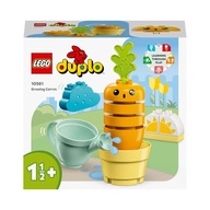 LEGO Duplo Rastúca mrkva 10981