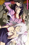 Plagát Anime Bakemonogatari bm_048 A1+ (vlastné)