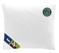 Vankúš 50x60 Biopercal 550g TERMO AMZ BAVLNA 100% Sezónna akcia Vankúš 50x60 Biopercal 550g TERMO AMZ BAVLNA 100% Sezónna akcia