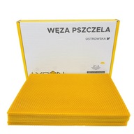OSTROWSKA VČELA LYSOŃ 1 KG TESTOVANÁ 5,4 mm OSTROWSKA VČELA LYSOŃ 1 KG TESTOVANÁ 5,4 mm