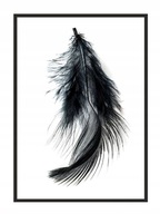 OBRAZOVÝ PLAGÁT V RÁME 53x73 cm Perie P861 OBRAZOVÝ PLAGÁT V RÁME 53x73 cm Perie P861