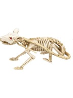 Skeleton Decoration Rat Skeleton Halloween