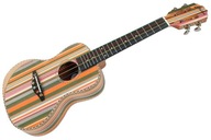 Koncertné ukulele MELLOW Rainbow C24