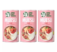 PRÍRODNÉ ONEDAYMORE OVOCNÉ MUSLI VLOČKY 3x 400G PRÍRODNÉ ONEDAYMORE OVOCNÉ MUSLI VLOČKY 3x 400G