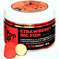 Lure Floating Balls Pop Up Ultimate Products Strawberry Big Fish 15 mm Lure Floating Balls Pop Up Ultimate Products Strawberry Big Fish 15 mm