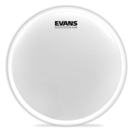 Evans B12UV2 12 