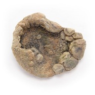 Terrario TerraPond M - miska / jazierko 23x18x6cm Terrario TerraPond M - miska / jazierko 23x18x6cm