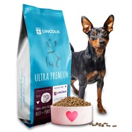 KRMIVO PRE PSA S HOVÄDZIM LINCOLNOM 9,5KG KRMIVO PRE PSA S HOVÄDZIM LINCOLNOM 9,5KG