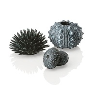 BIORB OASE SET 3 48365 ČIERNY MORSKÝ URICHIN BIORB OASE SET 3 48365 ČIERNY MORSKÝ URICHIN