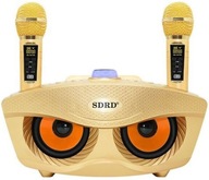 Karaoke SD306 PLUS 30W bezdrôtové GOLD Karaoke SD306 PLUS 30W bezdrôtové GOLD