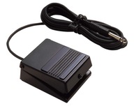 Roland DP-2 Roland DP-2