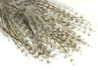 Gen Coq de Leon GRIZZLY PARDO perie 10-16cm/1651 Gen Coq de Leon GRIZZLY PARDO perie 10-16cm/1651