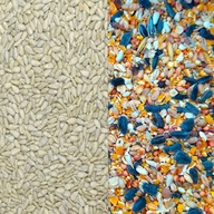 RICH MIX KRMIVO PRE DIVIAKY 10kg + slnečnica lúpaná 10kg RICH MIX KRMIVO PRE DIVIAKY 10kg + slnečnica lúpaná 10kg