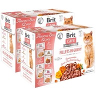 Brit Care Cat FG Flavor Box 24x85g