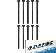 SKRUTKY HLAVY 10 KUSOV REINZ pre VW POLO V 1.6 SKRUTKY HLAVY 10 KUSOV REINZ pre VW POLO V 1.6