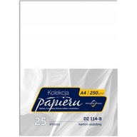 Dekoračný kartón 250g (25) DZ114-B