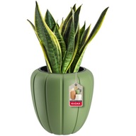 ČREVÍN NA KVETY + VLOŽKA 3D ZELENÁ 40cm ČREVÍN NA KVETY + VLOŽKA 3D ZELENÁ 40cm