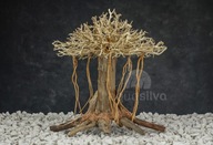 Akvarijný bonsajový strom Aquasilva Adasonia M