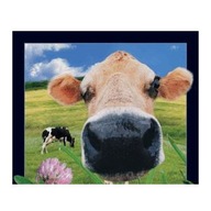 3D MAGNET NA KRÁVKU 3D MAGNET NA KRÁVKU