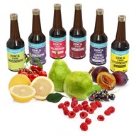 Sada 6 ks ovocných esencií a alkoholového dochucovadla Sada 6 ks ovocných esencií a alkoholového dochucovadla