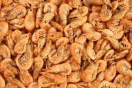 GLOPEX SUŠENÉ KRÉTKY PRE KORYTNAČKY 5 KG VEĽKÉ SUŠENÉ KRÉTKY (UKRAJINA) GLOPEX SUŠENÉ KRÉTKY PRE KORYTNAČKY 5 KG VEĽKÉ SUŠENÉ KRÉTKY (UKRAJINA)
