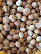 LIESKOVÉ ORIEŠKY V LÚPANÝCH POĽSKÝCH 5 KG ÚROBA 2023 LIESKOVÉ ORIEŠKY V LÚPANÝCH POĽSKÝCH 5 KG ÚROBA 2023