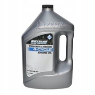 OLEJ QUICKSILVER 25W40 4-TAKT 4L - 01169 OLEJ QUICKSILVER 25W40 4-TAKT 4L - 01169