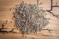 nelúpané konopné semienka superfood proteín 500g