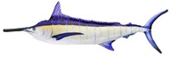 GABY plyšový vankúšik rybička MARLIN 115cm