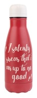 Harry Potter termofľaša 260 ml kovová Harry Potter termofľaša 260 ml kovová