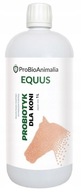 PROBIOTIKA PRE KONE 1L PROBIOANIMALIA EQUUS