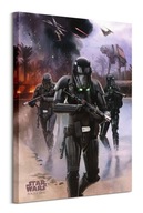 Obraz na plátne Star Wars Rogue One Rogue 60x80 cm Obraz na plátne Star Wars Rogue One Rogue 60x80 cm