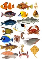 PAPIEROVÁ CUKROVÁ PASTA RYBA RYBA RYBA MORE OCEAN PAPIEROVÁ CUKROVÁ PASTA RYBA RYBA RYBA MORE OCEAN