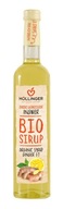 Zázvorový a citrónový sirup 500ml - Hollinger