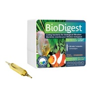 Prodibio BioDigest na filtráciu KRAKÓW ampulka