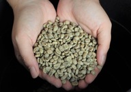 Zelená zrnková káva Kenia Ondonoco 1 kg Nepražená