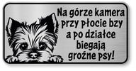 Pozor znamenie York Dog