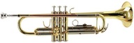 Bb Bach TR-650 trúbka 3 ROKY ZÁRUKA