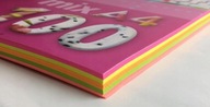 TLAČOVÝ PAPIER A4 NEON LINE, PEVNÝ