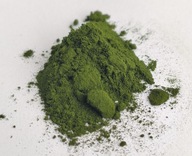 Prírodná chlorella v prášku - 200g - Dary Podlasie