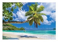 Fototapeta BEACH SEA PALM LANDSCAPE 3D 368x254 Fototapeta BEACH SEA PALM LANDSCAPE 3D 368x254
